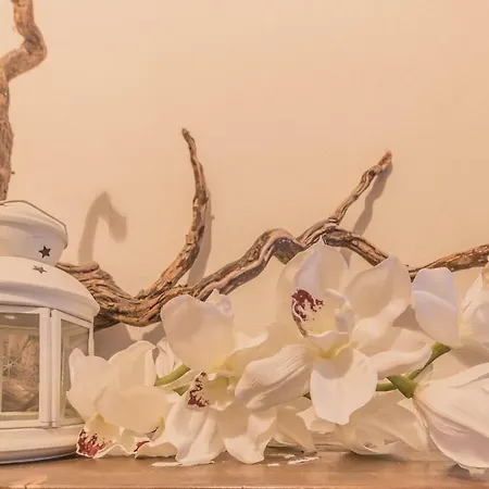 Apartament Elizabeth House *