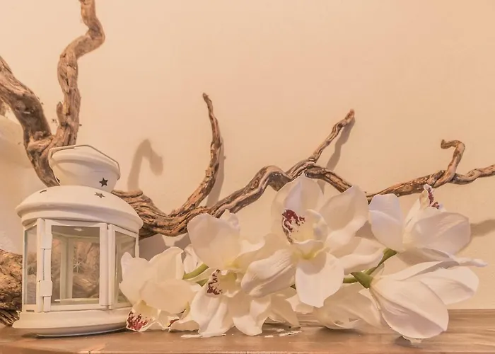 Apartman Elizabeth House *